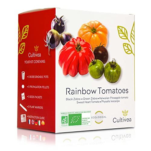 Cultivea  Rainbow Tomatoes Mini Growing Kit  100% Organic Seeds - Grow, Decorate and Taste - Gift Idea (Black Zebra, Green Zebra, Haiwaiian Pin